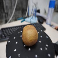 Dataset Image