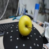 Dataset Image