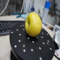 Dataset Image