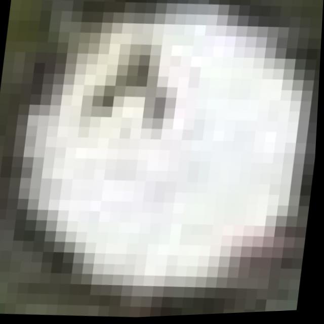 Dataset Image