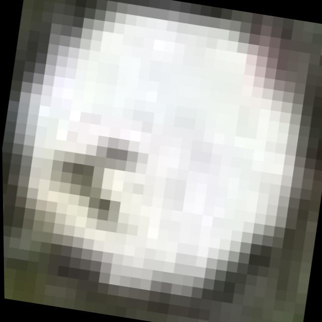 Dataset Image