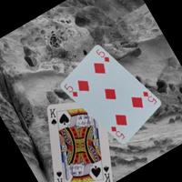 Dataset Image