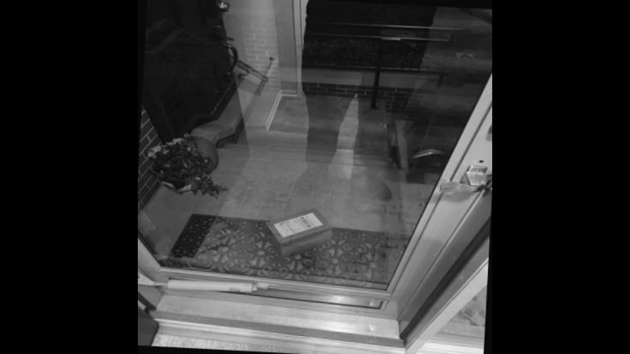 Dataset Image
