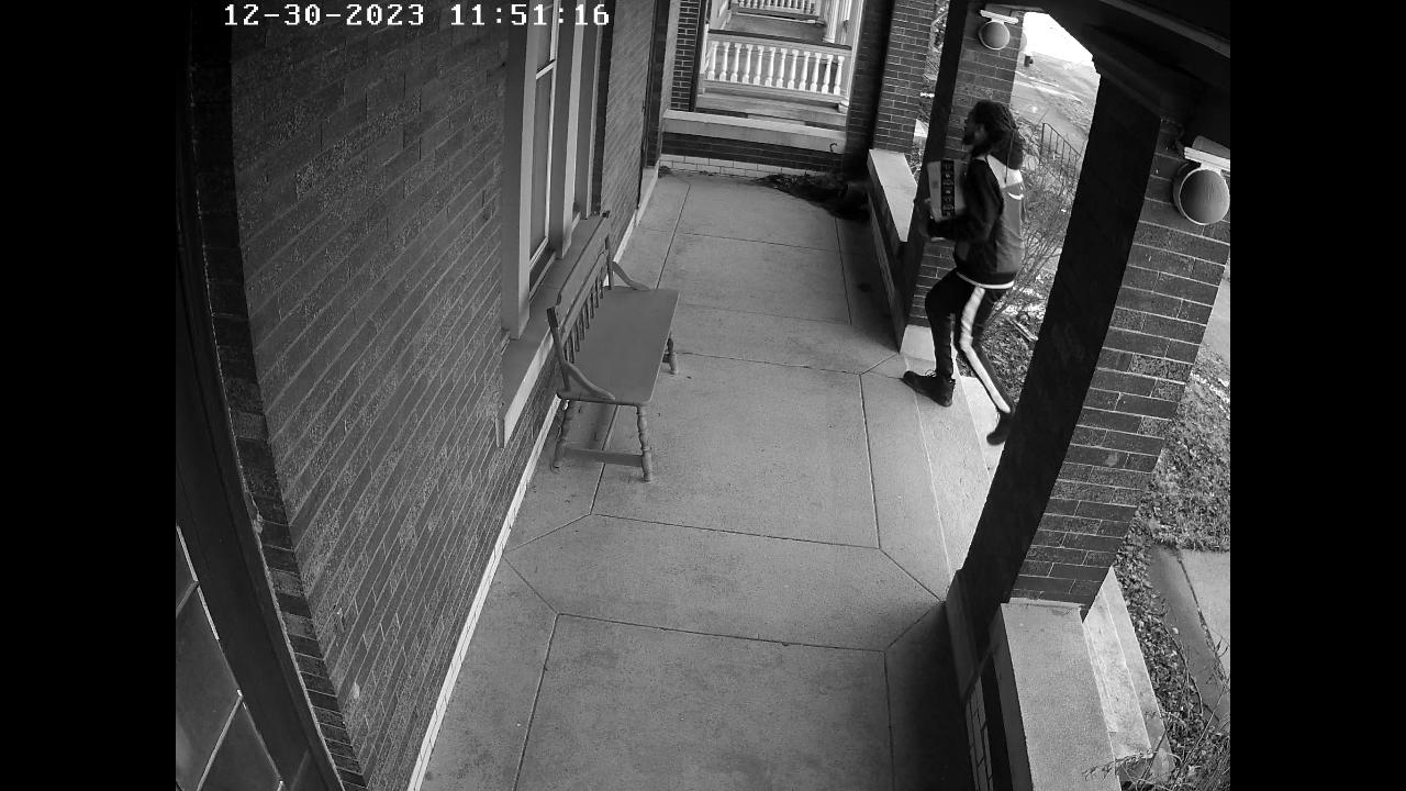 Dataset Image