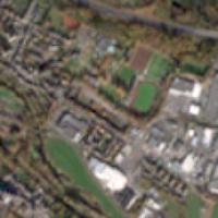 Dataset Image