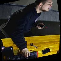 Dataset Image
