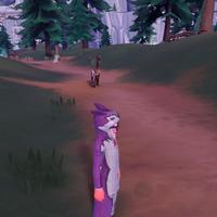 Dataset Image