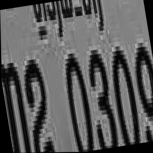 Dataset Image