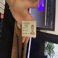Dataset Image