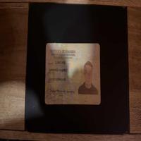 Dataset Image