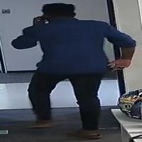 Dataset Image