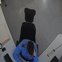 Dataset Image