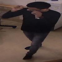 Dataset Image