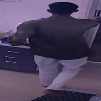 Dataset Image