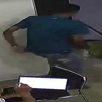 Dataset Image