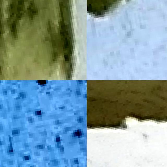 Dataset Image