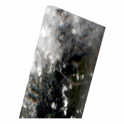 Dataset Image