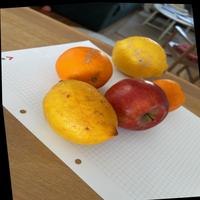 Dataset Image