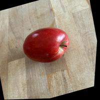 Dataset Image