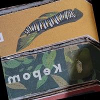 Dataset Image