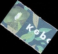 Dataset Image