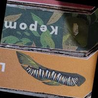 Dataset Image