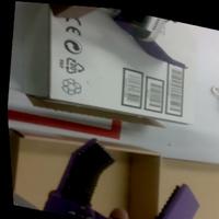 Dataset Image