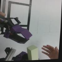 Dataset Image