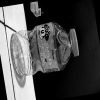 Dataset Image
