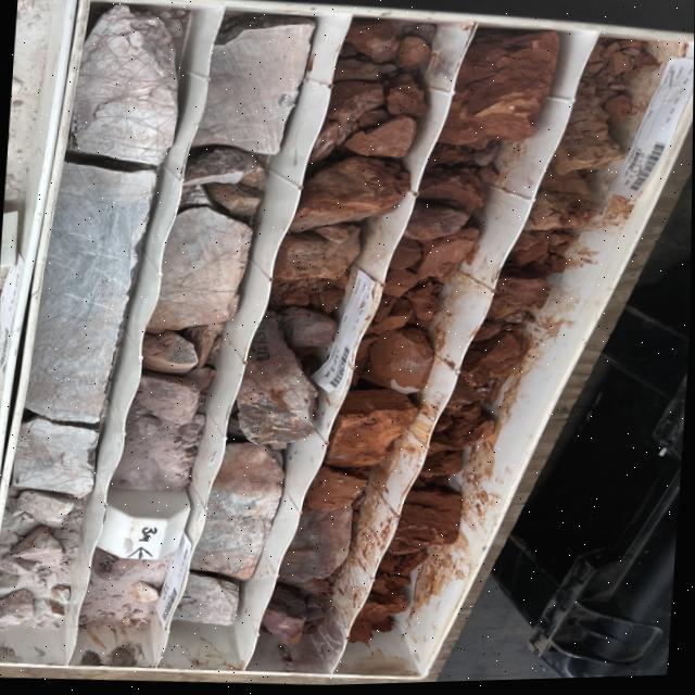 Dataset Image