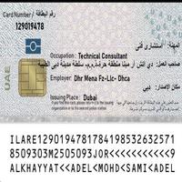 Dataset Image