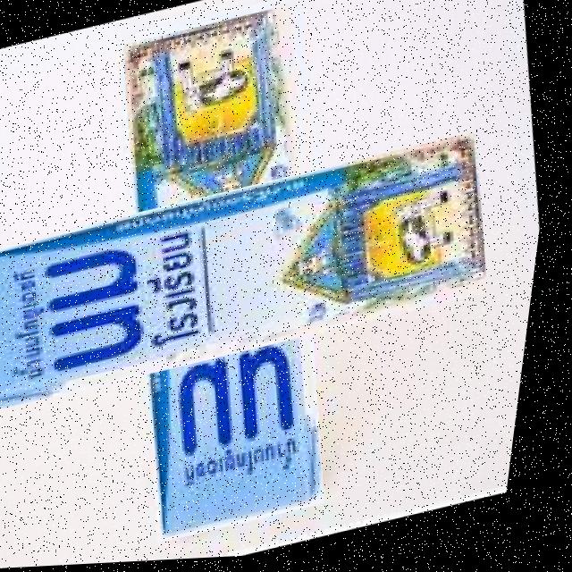 Dataset Image