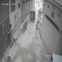 Dataset Image