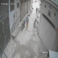 Dataset Image