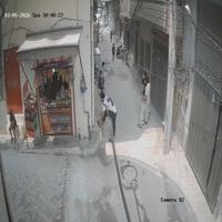 Dataset Image