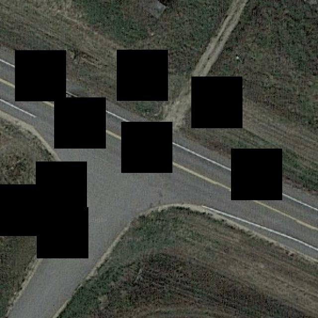 Dataset Image