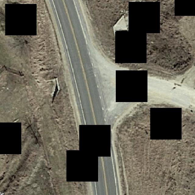 Dataset Image