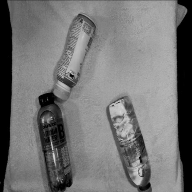 Dataset Image
