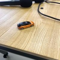 Dataset Image