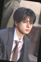 Dataset Image