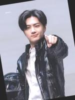 Dataset Image