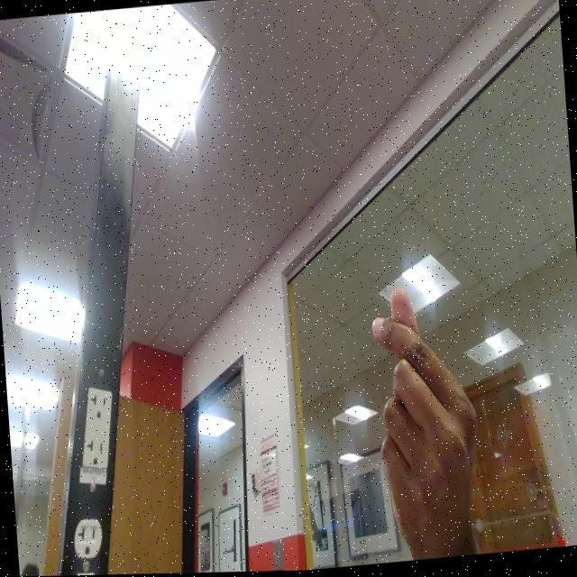 Dataset Image