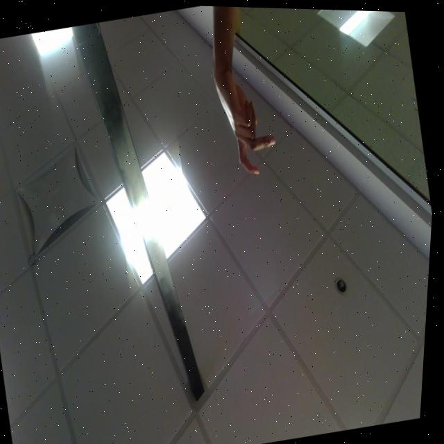 Dataset Image