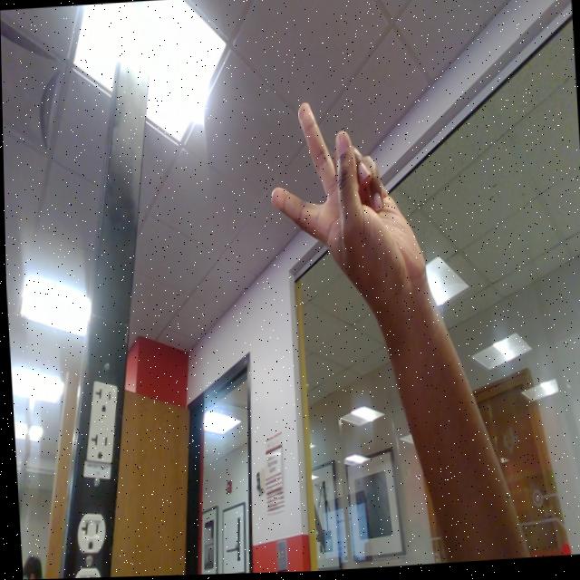 Dataset Image