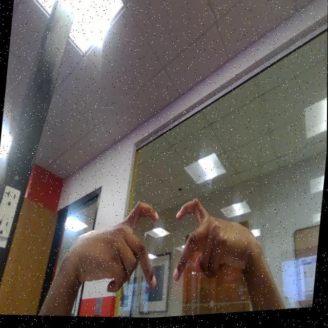 Dataset Image