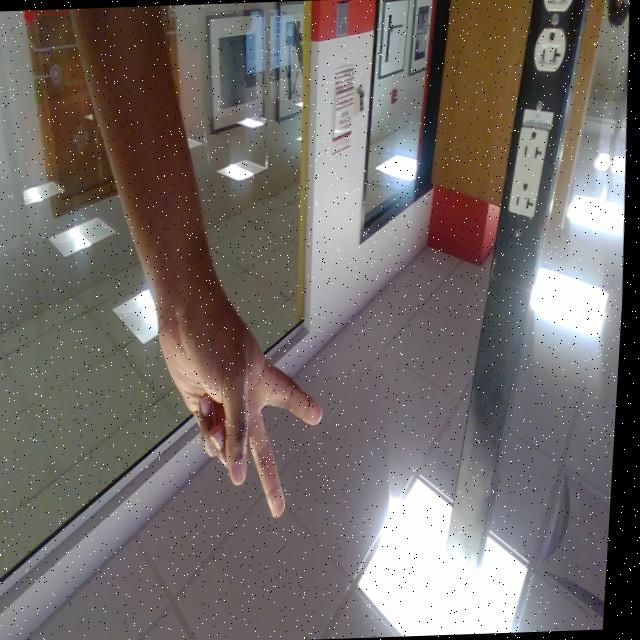 Dataset Image