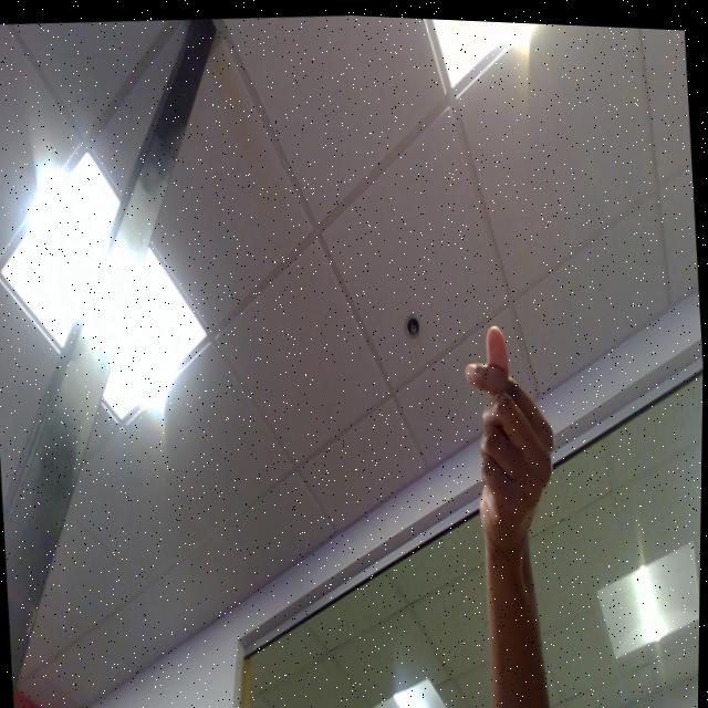 Dataset Image