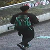 Dataset Image