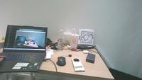 Dataset Image