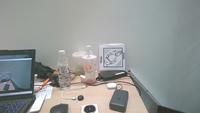 Dataset Image
